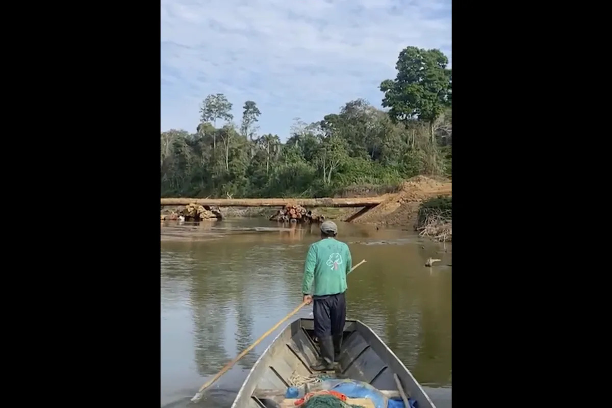 Tribu de Amazon aislada vista cerca del sitio de Logging Bridge, grupo de derechos alarmantes