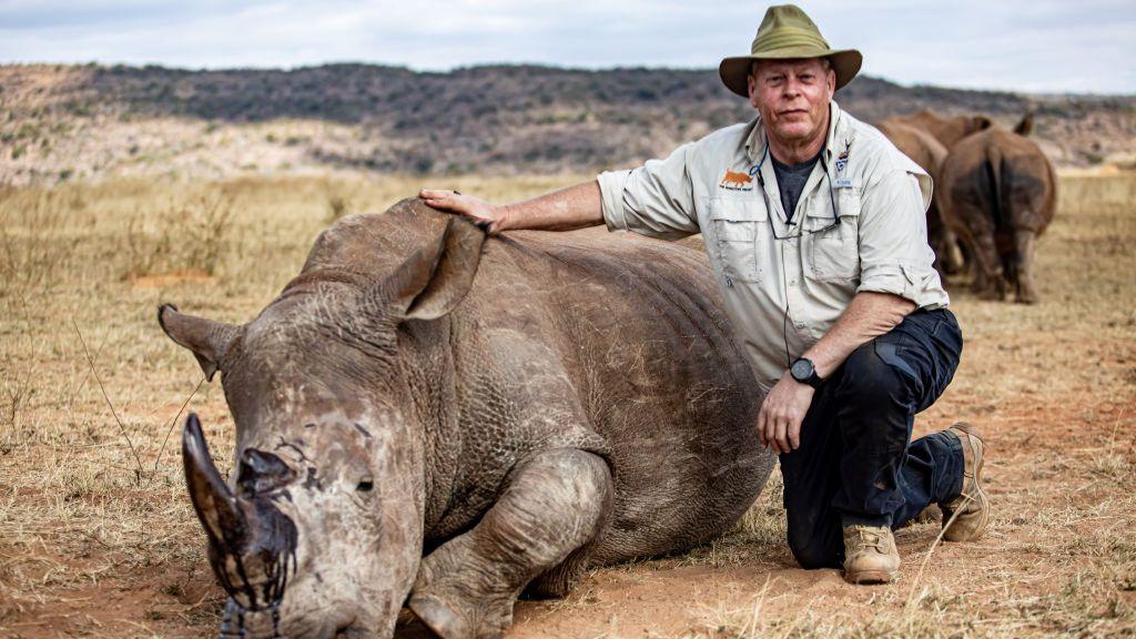 Los cuernos de rinocerontes se volvieron radiactivos para luchar contra los cazadores furtivos en Sudáfrica
