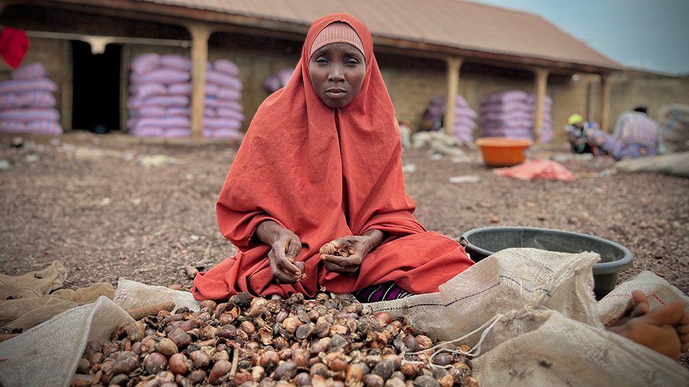 Nigeria prohibió las exportaciones de mantequilla de karité para ayudar a las mujeres a beneficiarse. Pero está contraproducente